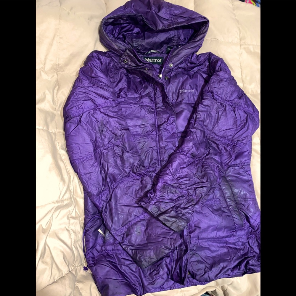 Worn Purple Marmot
